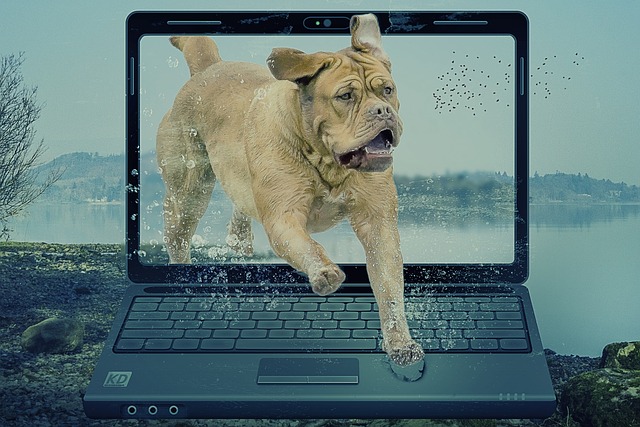 Koira hyppää tietokoneesta pöydälle.