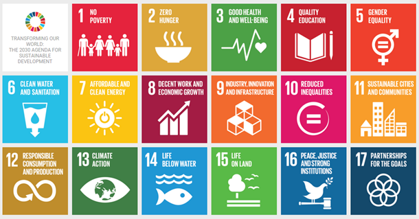 Sustainable Development Goals adopted by the United Nations.